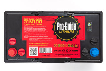 PGL31M100