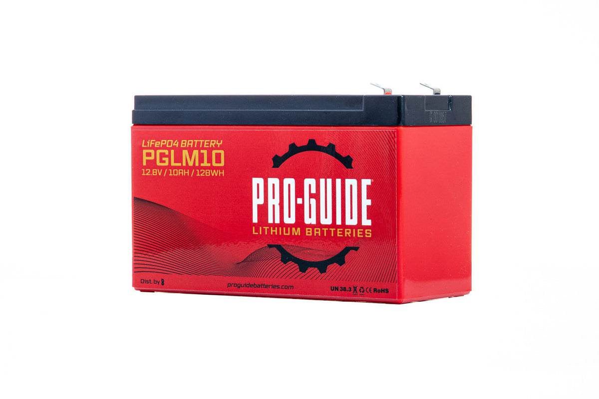 PGLM10