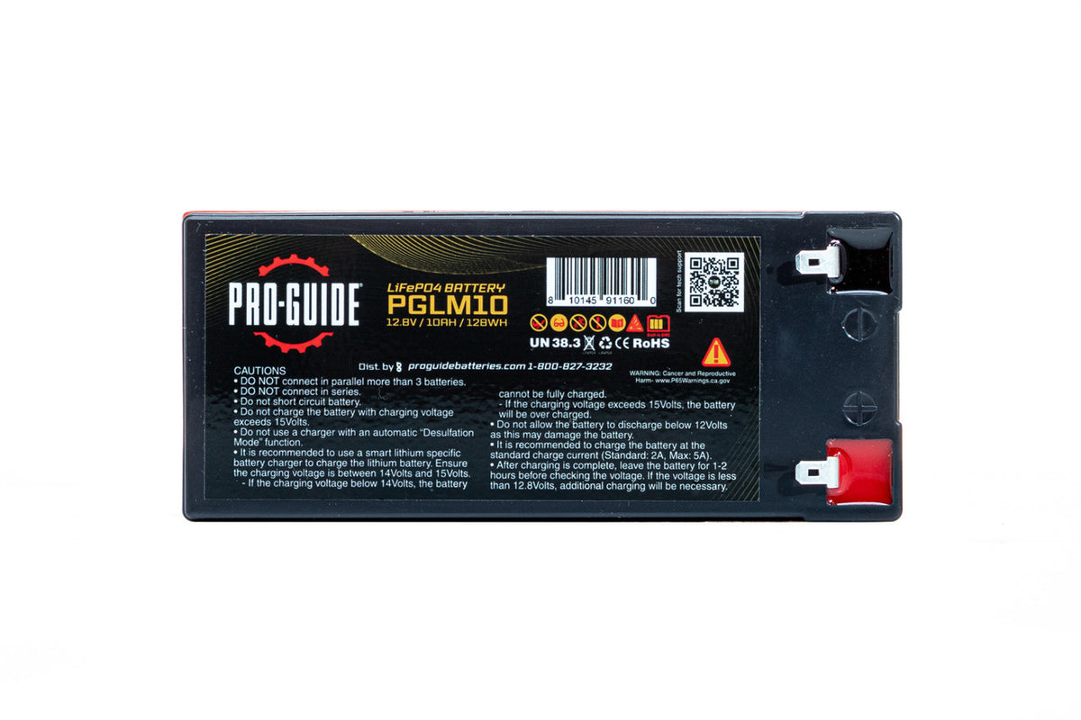 PGLM10