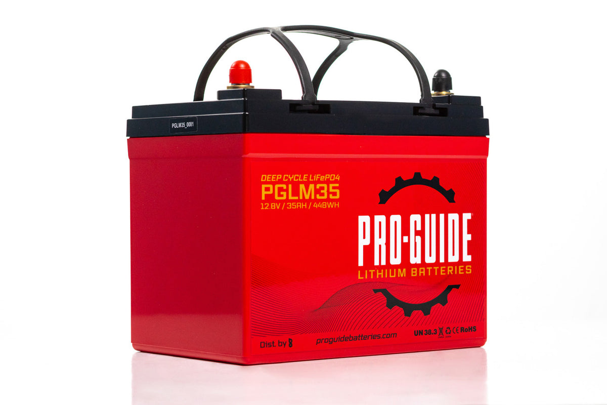 PGLM35