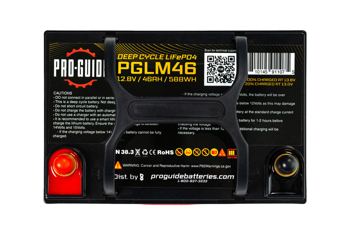 PGLM46