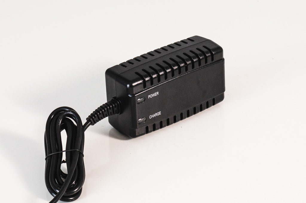 PSMC-2435 Mobility Charger