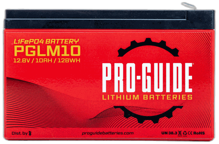 PGLM10