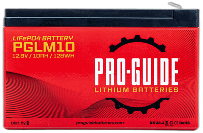 PGLM10
